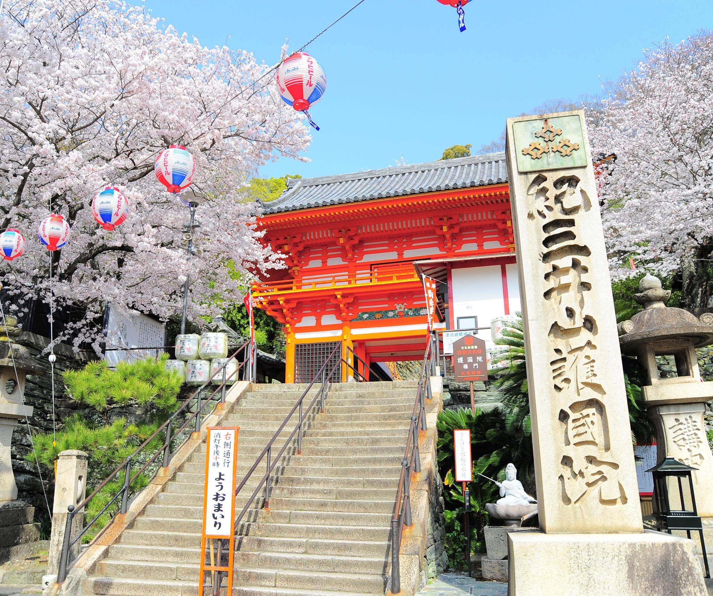 🏯 와카야마 성 이미지 9